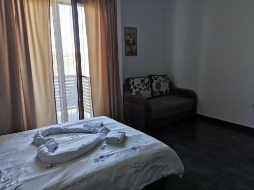 Zlatibor Hills Nature - image 9