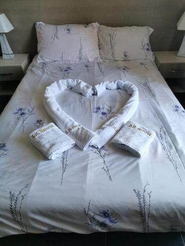 Zlatibor Hills Nature - image 8