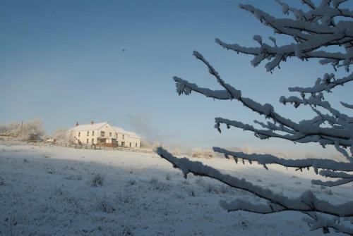 Penddaulwyn Uchaf Farm # Carmarthenshire