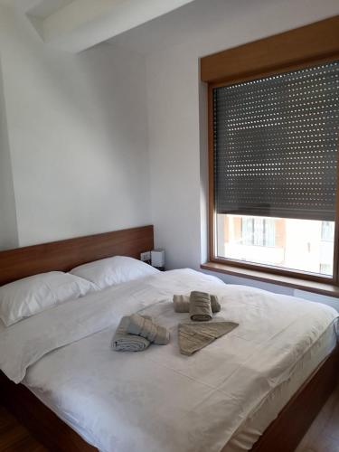 Avram, Zlatibor (photo 8)
