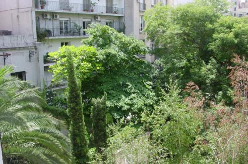 Monoambiente con vista a jardín, Buenos Aires (fotografie 5)