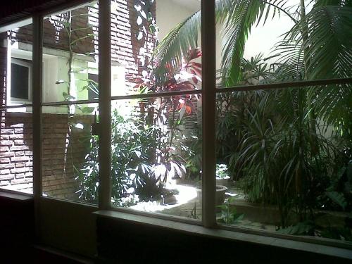 Monoambiente con vista a jardín, Buenos Aires (fotografie 6)