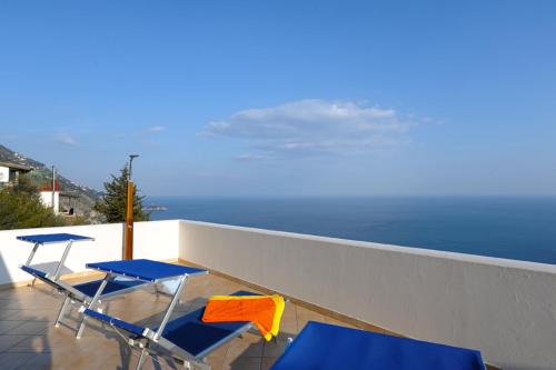 CASA ALEA
