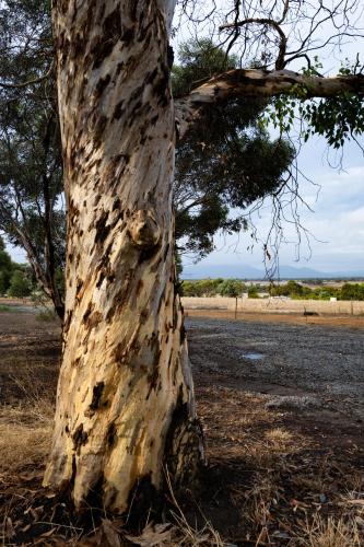 Kendenup Lodge and Cottages