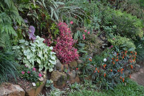 Hanthana Breeze Home Stay