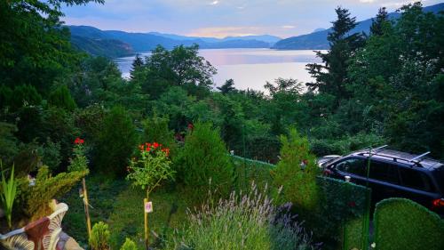 Dunavski raj in Donji Milanovac