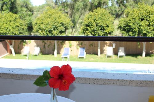 Hostal Alhambra