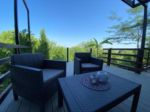 PERGOLA HOUSE IN A GREEN OASIS WITH FANTASTIC VIEW - Apartment - Petrovaradin