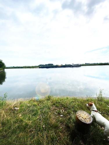 Huisje aan de Schelde