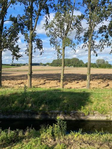 Huisje aan de Schelde