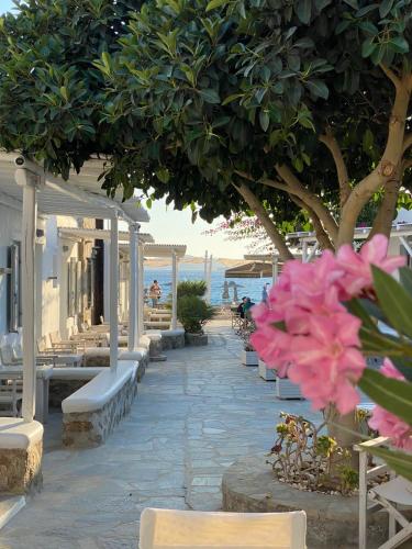 Agia Anna Beachfront Boutique Hotel de charme paraga