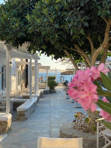 Agia Anna Beachfront Boutique