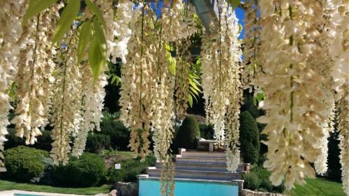 Podere della bruciata