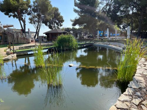 Hotel El Cisne - image 3