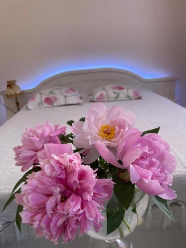 Viktoria Apartament Viktoria Apartament