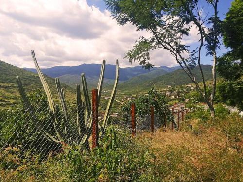 Casa Montagnola: naturaleza y tranquilidad