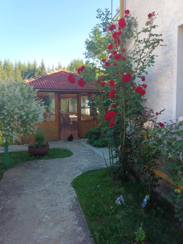 Guest House Stoletnika