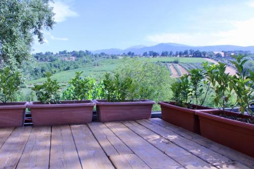  Frontemaja in Fara Filiorum Petri