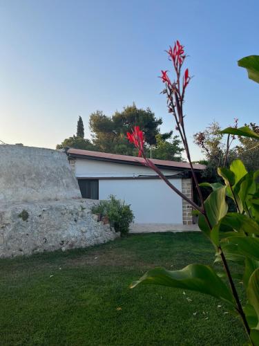 Li Papi, Galatone (Foto 9)
