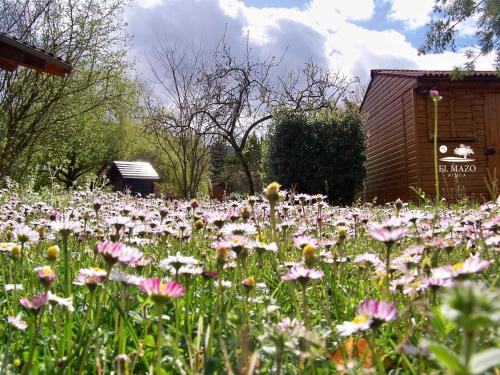 Albergue Finca El Mazo