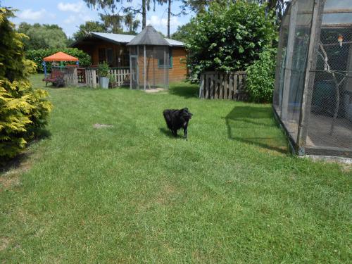 ملعب للأطفال, Ferienwohnung Kröger (Ferienwohnung Kroger) in Rhede Niedersachsen