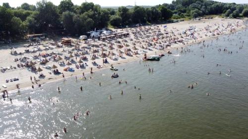 Albatros - Village et club de vacances - Călăraşi