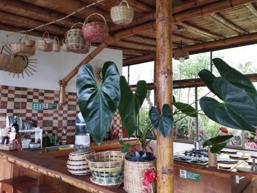 Konyha, EcoCasa del Aire in Toca