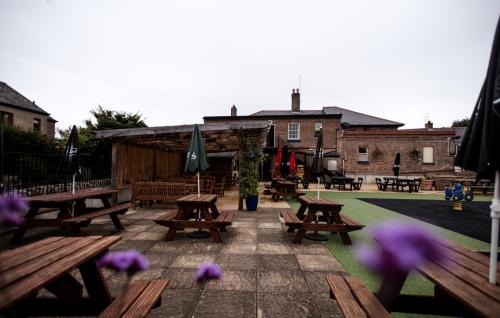 The Black Dog Inn - image 8