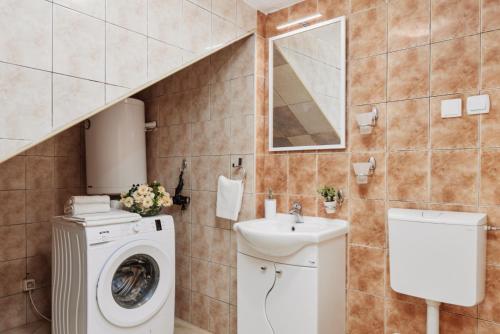 Duplex Apartment image 5