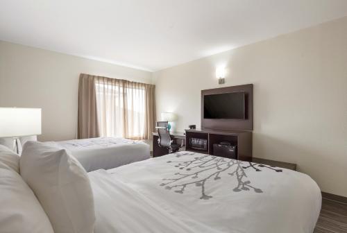 Days Inn & Suites by Wyndham Foley - image 7