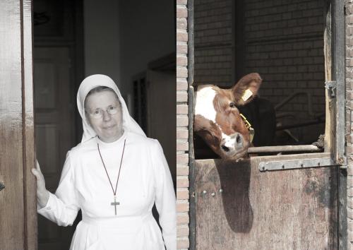 Herberg de Brabantse Kluis - image 13