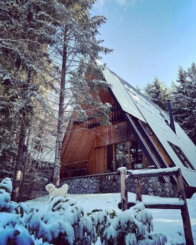 Forest House Stella - A frame cabin - Chalet - Mrkopalj