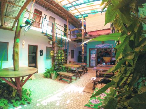 外部景觀, Buddy's Hostel Itacare in 伊塔卡拉