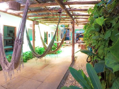 外部景觀, Buddy's Hostel Itacare in 伊塔卡拉