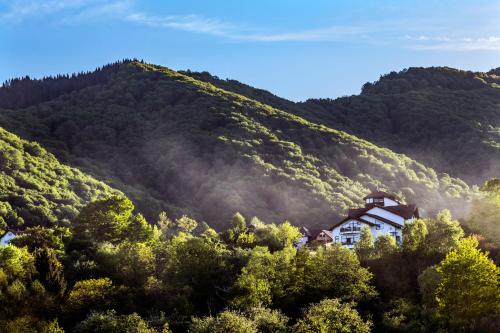 Transylvanian Inn - image 7