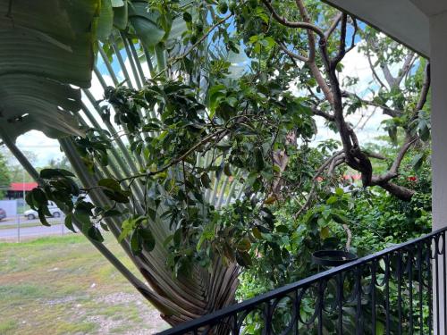Hotel Balché – Bacalar, TX