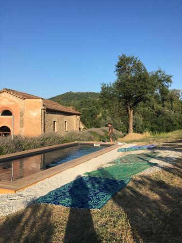 Azienda Agricola Baccagnano photo