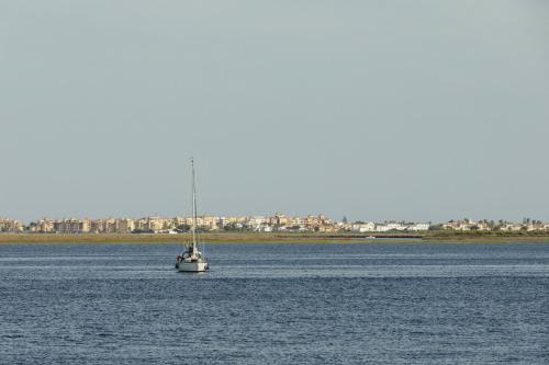 Vinos & Vinilos by HOMA - image 2