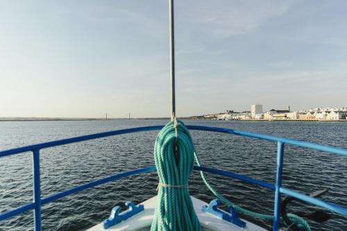 Vinos & Vinilos by HOMA - image 5