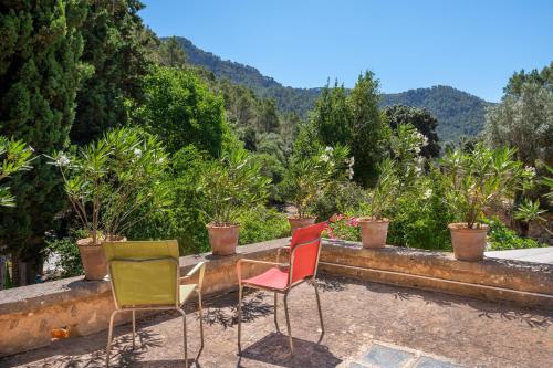 Son Roig gîte à louer Orient