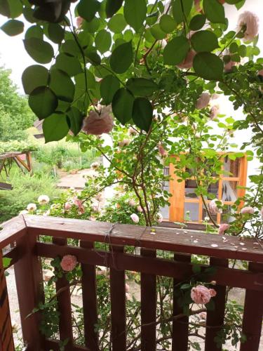 Apartman Latin 2 in Plaski
