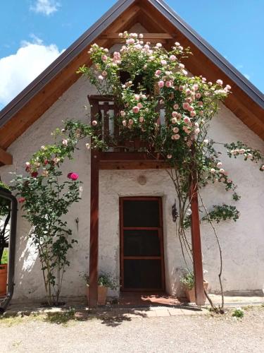 Apartman Latin 2 in Plaski