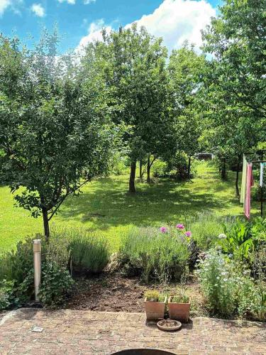 Apartman Latin 2 in Plaski