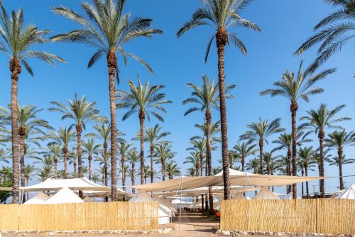 주변 명소, Mia Glamping kinneret in 하온