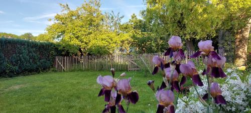 Au coquelicot : gîte cosy pour 8 pers. avec jardin