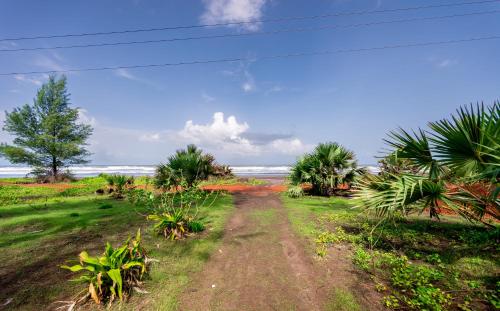 Lotus an Eco Beach Resort Dapoli Murud