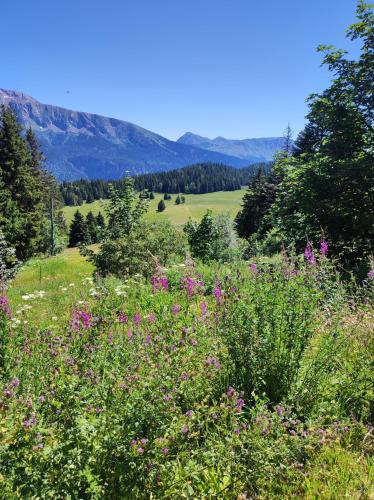 Chamrousse 1700 - Les Villages du Bachat - Silènes C11 - Classé 3 étoiles, Chamrousse (Foto 4)