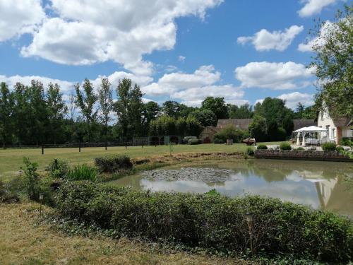 Apkārtne, La Framboisière - Maison Blanche Sologne (La Framboisiere - Maison Blanche Sologne) in Cerdon