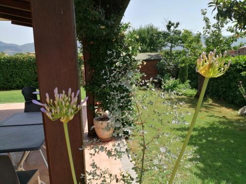  B&B Il Tiglio in Padula