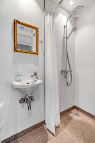 Danhostel Odense Kragsbjerggaard - image 12